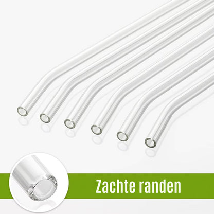 Herbruikbare Glazen Rietjes - Met Schoonmaakborsteltjes - Rietjes Glas - Cocktail Rietjes - Transparant - 12 Stuks